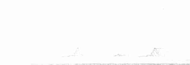 Schwarzkehl-Nachtschwalbe - ML619513768