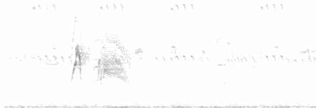 Ивовый мухолов - ML619513841