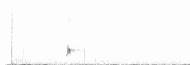 Boz Alınlı Sinekkapan - ML619514113