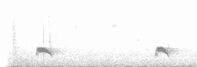 Brown-crested Flycatcher - ML619514114