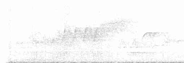 Cerulean Warbler - ML619514418