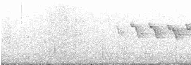 Yellow-throated Warbler - ML619514805