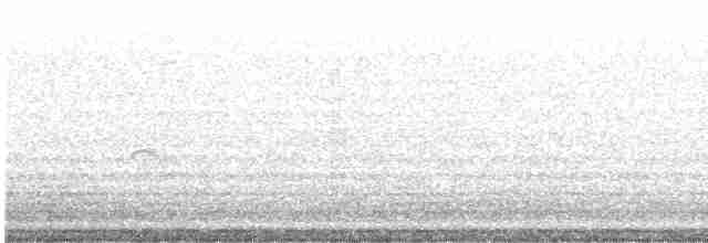 Gri Yanaklı Bülbül Ardıcı - ML619514808