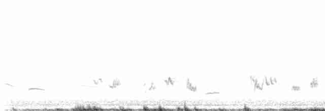 Cuitlacoche de las Artemisas - ML619515035