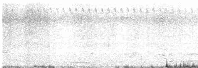 Cisne Negro - ML619515102