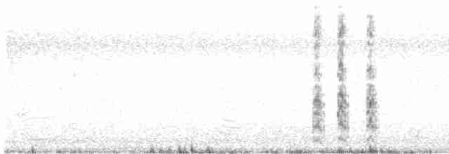 紐澳紅嘴鷗 - ML619515283