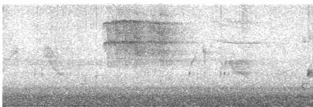 Al Kanatlı Karatavuk [phoeniceus grubu] - ML619515344