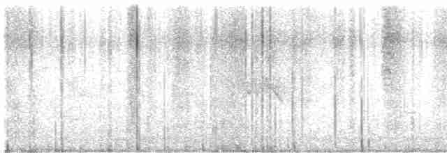 Graumantel-Brillenvogel - ML619515447