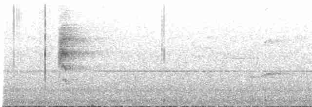 Висаянская веерохвостка - ML619516094