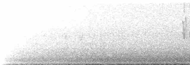 סנונית רפתות - ML619516450