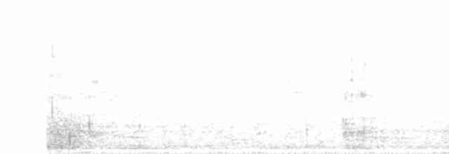 Чёрно-белый ястреб - ML619516504