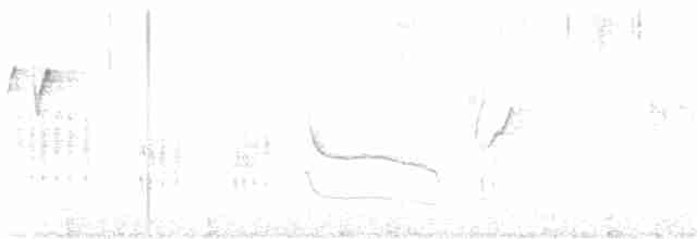 Yellow-eyed Babbler - ML619516594