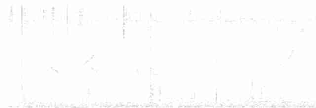 Чернокрылый личинкоед-свистун - ML619516636