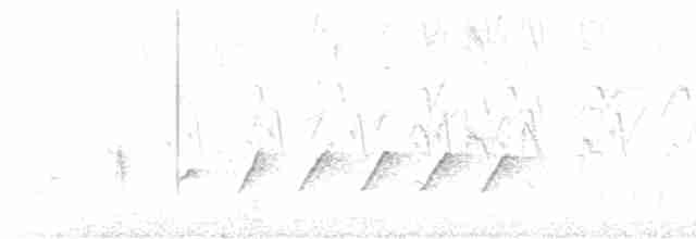 svarthodelarveeter - ML619516641