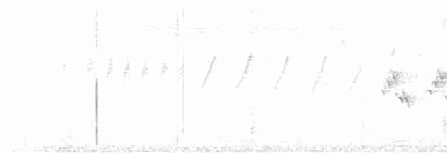 svarthodelarveeter - ML619516764