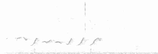 Hainparadiesschnäpper - ML619516774