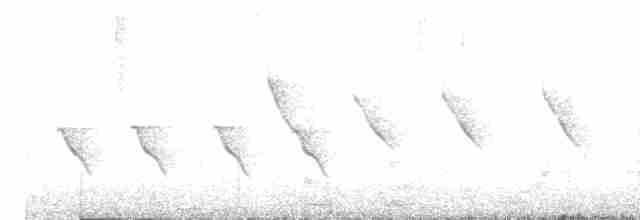 langhaleskredderfugl - ML619516815