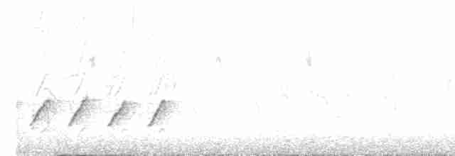 svarthodelarveeter - ML619517101