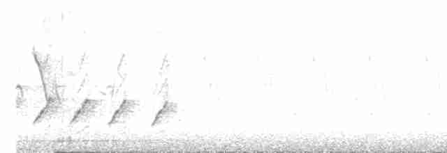 svarthodelarveeter - ML619517103