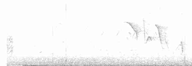 svarthodelarveeter - ML619517104