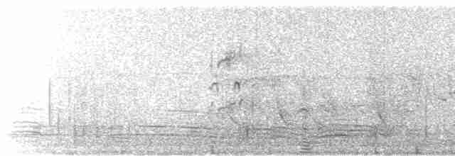 Ібіс молуцький - ML619517976