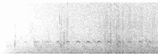 Ібіс молуцький - ML619517978