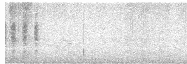 Woodchat Shrike - ML619518438