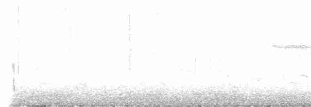 Kara Karınlı Sığırcık - ML619518461