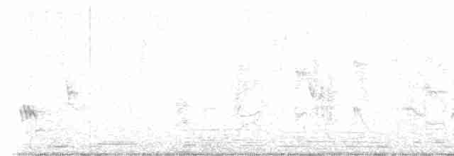 Gartengrasmücke - ML619518478