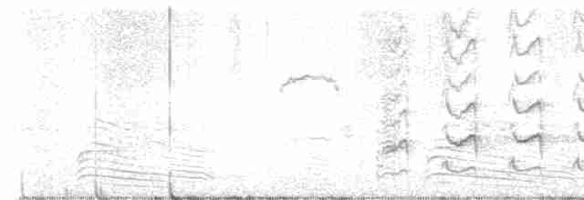 Красногорлая вертишейка (ruficollis) - ML619518479