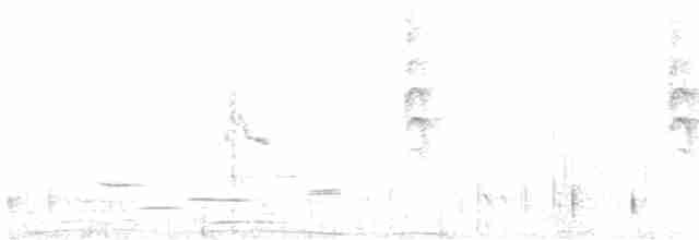 Graumantel-Brillenvogel - ML619518673