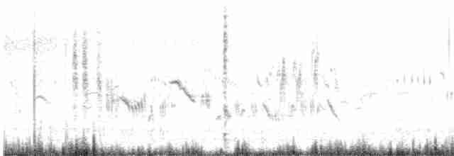Batılı Kara Kulaklı Kuyrukkakan - ML619518700