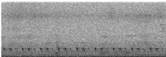 Red-necked Nightjar - ML619518773