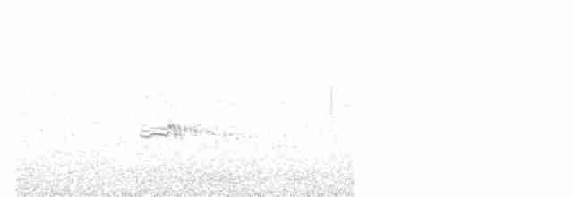 Uroilanda handia - ML619519101