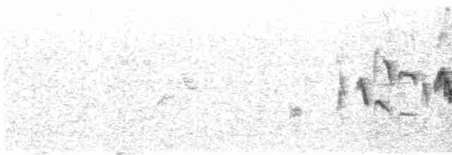 Кропив’янка середземноморська - ML619519209
