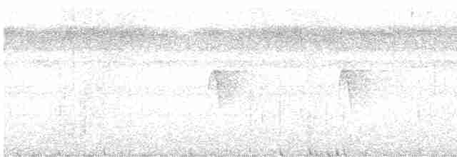 Sarı Karınlı Boreal Sinekkapan - ML619519655