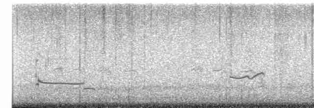 Common Redshank - ML619519745