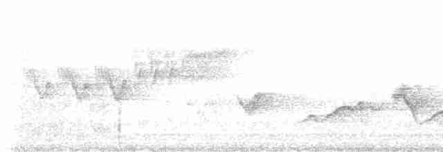 lesňáček modropláštíkový - ML619519797