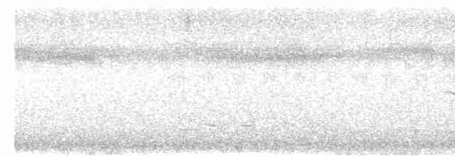 Gökardıç (philippensis) - ML619519811
