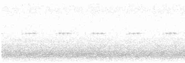 Сипуха крапчаста - ML619520024