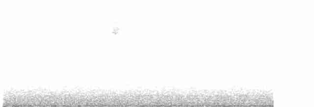 svarthetteparula - ML619520045