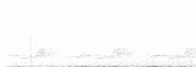Islıkçı Çobanaldatan - ML619520141