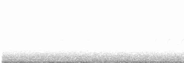 Набережник плямистий - ML619520301