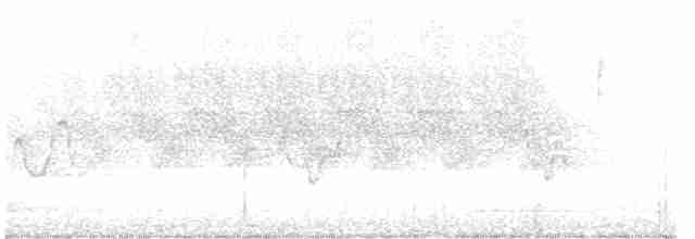 Cırcır Sesli Serçe - ML619520335