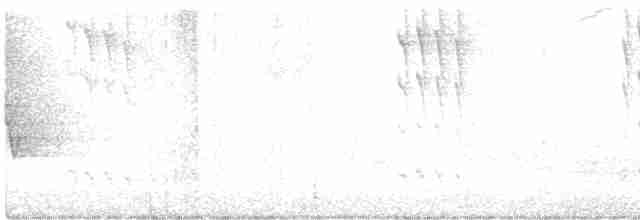 kalypta rubínohrdlá - ML619520366