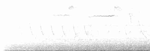 Черногорлая хвойница - ML619520747