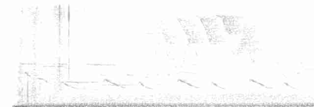 svartbrystparula - ML619520937