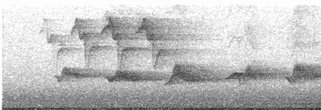Piranga écarlate - ML619521355