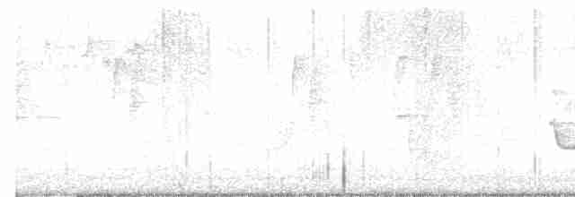 Paruline à gorge grise - ML619521386