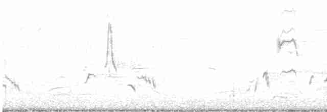 Ивовый мухолов - ML619521411